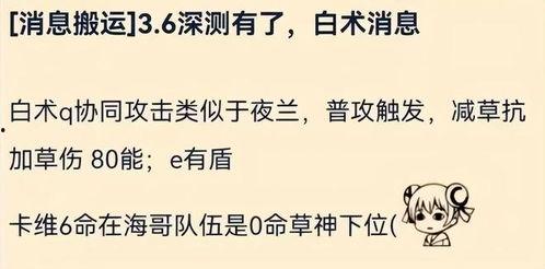原神白术爆料最新视频,神秘技能与背景故事大揭秘
